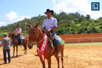 Foto - Veja como foi o 1º dia da Prova de Marcha de Equinos e Muares 2024 de Nazaré Paulista