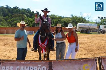 Foto - Veja como foi o 1º dia da Prova de Marcha de Equinos e Muares 2024 de Nazaré Paulista