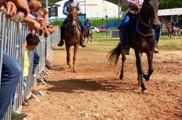 Foto - Veja como foi o 1º dia da Prova de Marcha de Equinos e Muares 2024 de Nazaré Paulista