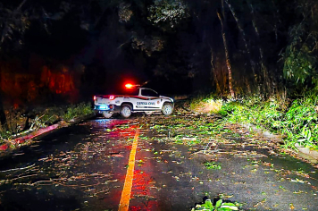 Defesa Civil atua com agilidade na desobstrução da Rodovia Juvenal Ponciano de Camargo em Nazaré Paulista