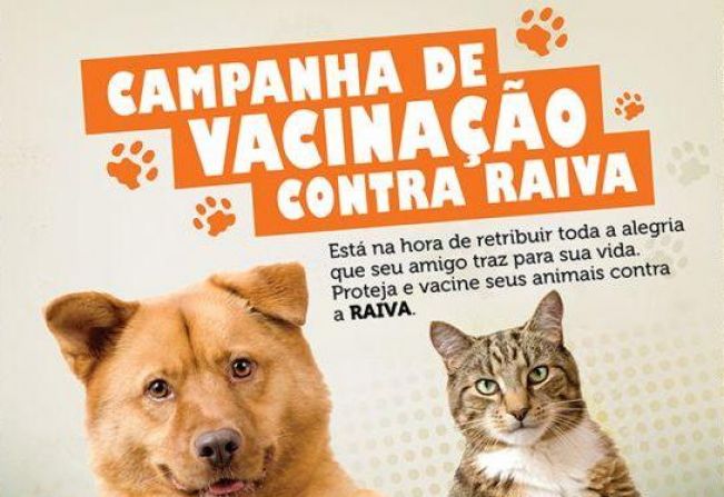 Campanha de Vacinação contra a Raiva para Cães e Gatos começa no mês de agosto em Nazaré Paulista
