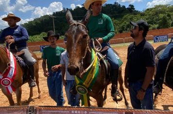 Foto - Veja como foi o 1º dia da Prova de Marcha de Equinos e Muares 2024 de Nazaré Paulista