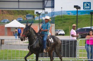 Foto - Veja como foi o 1º dia da Prova de Marcha de Equinos e Muares 2024 de Nazaré Paulista