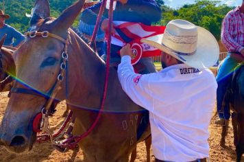 Foto - Veja como foi o 1º dia da Prova de Marcha de Equinos e Muares 2024 de Nazaré Paulista