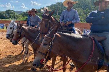 Foto - Veja como foi o 1º dia da Prova de Marcha de Equinos e Muares 2024 de Nazaré Paulista