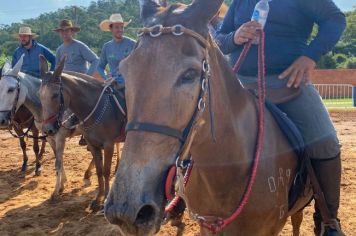 Foto - Veja como foi o 1º dia da Prova de Marcha de Equinos e Muares 2024 de Nazaré Paulista