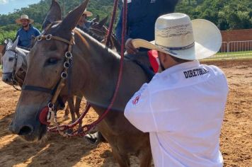 Foto - Veja como foi o 1º dia da Prova de Marcha de Equinos e Muares 2024 de Nazaré Paulista