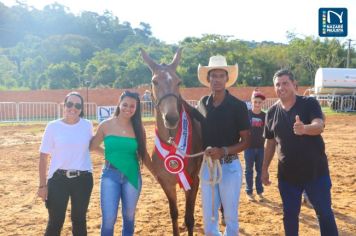 Foto - Veja como foi o 1º dia da Prova de Marcha de Equinos e Muares 2024 de Nazaré Paulista