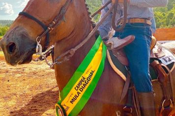 Foto - Veja como foi o 1º dia da Prova de Marcha de Equinos e Muares 2024 de Nazaré Paulista