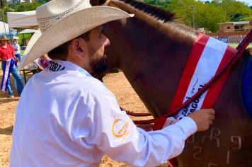 Foto - Veja como foi o 1º dia da Prova de Marcha de Equinos e Muares 2024 de Nazaré Paulista