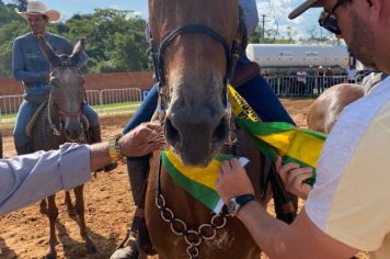 Foto - Veja como foi o 1º dia da Prova de Marcha de Equinos e Muares 2024 de Nazaré Paulista