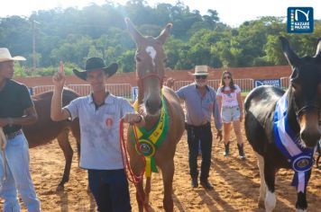 Foto - Veja como foi o 1º dia da Prova de Marcha de Equinos e Muares 2024 de Nazaré Paulista