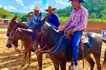 Foto - Veja como foi o 1º dia da Prova de Marcha de Equinos e Muares 2024 de Nazaré Paulista