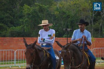 Foto - Veja como foi o 1º dia da Prova de Marcha de Equinos e Muares 2024 de Nazaré Paulista