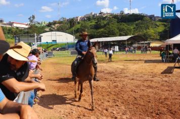 Foto - Veja como foi o 1º dia da Prova de Marcha de Equinos e Muares 2024 de Nazaré Paulista