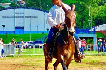 Foto - Veja como foi o 1º dia da Prova de Marcha de Equinos e Muares 2024 de Nazaré Paulista