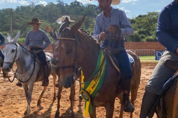 Foto - Veja como foi o 1º dia da Prova de Marcha de Equinos e Muares 2024 de Nazaré Paulista