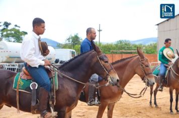 Foto - Veja como foi o 1º dia da Prova de Marcha de Equinos e Muares 2024 de Nazaré Paulista