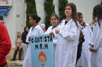 Foto - Desfile Cívico 342 anos