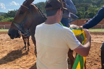 Foto - Veja como foi o 1º dia da Prova de Marcha de Equinos e Muares 2024 de Nazaré Paulista