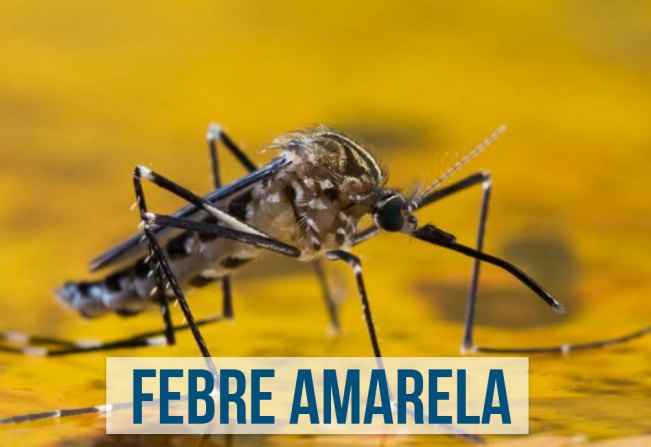 Município de Nazaré Paulista inicia vacinação Contra Febre Amarela